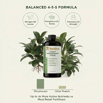 Natural Houseplant Food