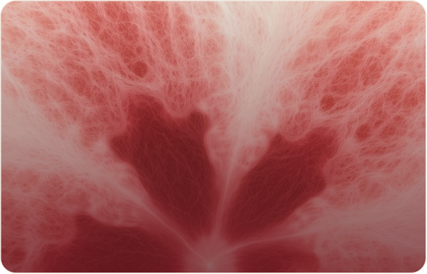 Prebiotic Fiber (FOS)