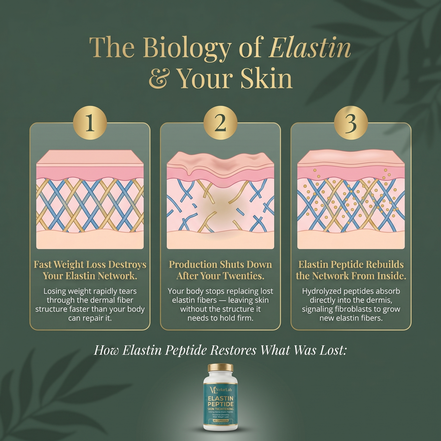 Elastin Peptide Skin Tightening Formula
